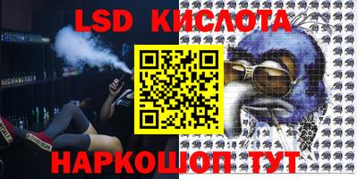 прущие грибы Рыбинск