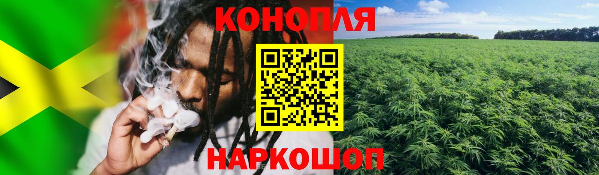 Конопля Bruce Banner Новозыбков
